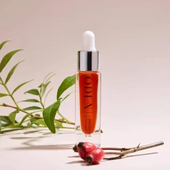 Concentré d'Églantier Booster de Collagène