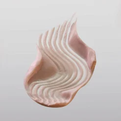 Gommage Lissant Double Action