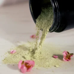 Green Ceremony Cleanser Nettoyant Cérémonie Spiruline & Matcha