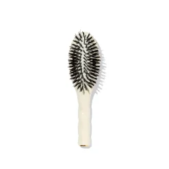 La Petite Brosse n°01 l'Universelle