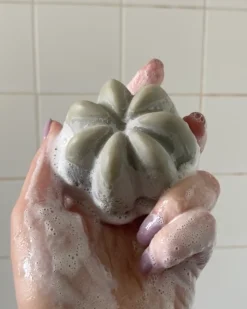 Le Shampoing Solide Detox