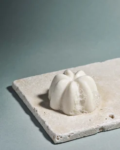 Le Shampoing Solide Doux