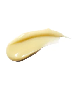 Lip Crème Baume à Lèvres Teinté