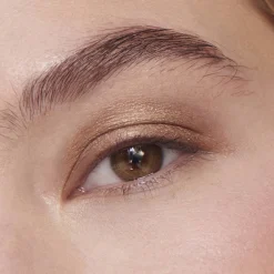 Liquid Powder Chromatic Eye Tint Fard à Paupières Crème