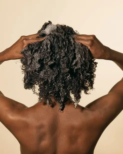 Shampoing Hydratant Champú de Yucca & Witch Hazel