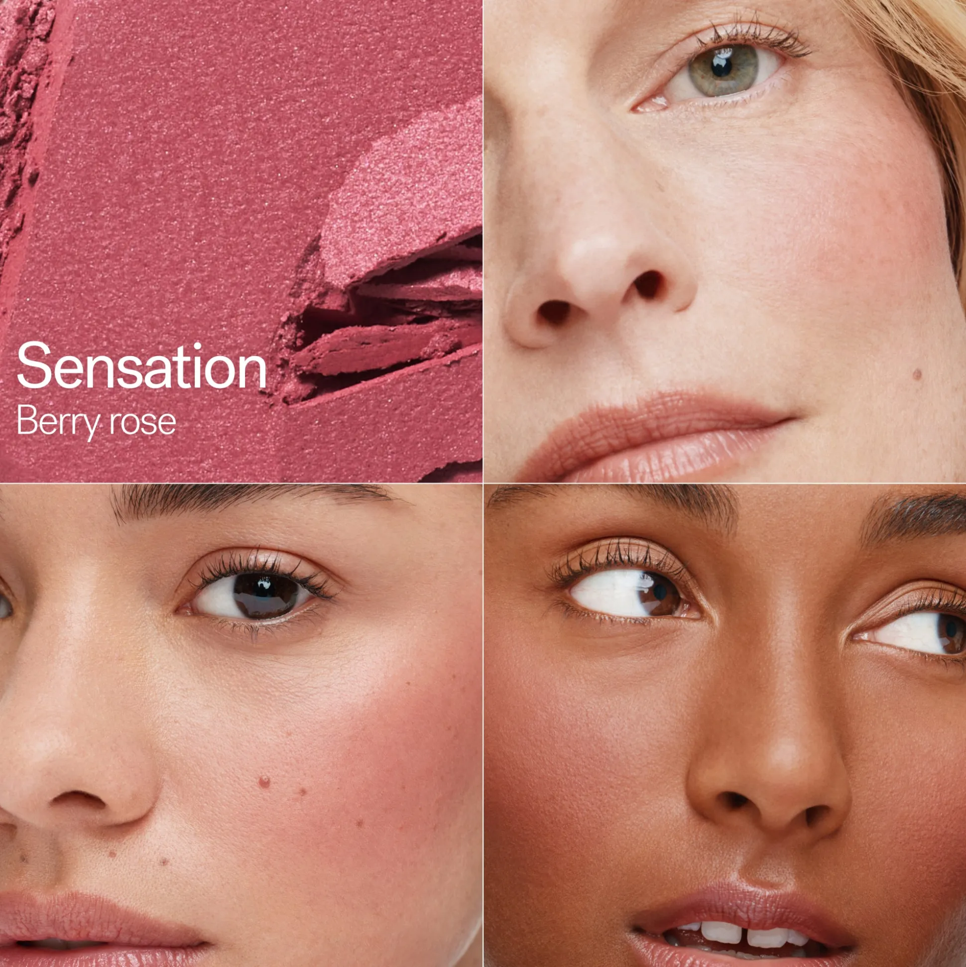 Soft Focus Blurring Blush Poudre