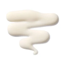 The Leave-In Hair Treatment Le Soin Capillaire